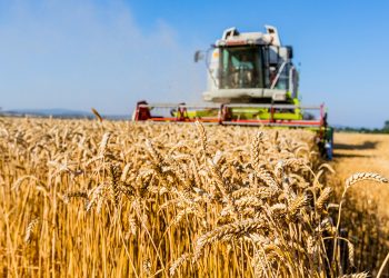 Ургац хураалт улсын хэмжээнд бүрэн дуусаад байна