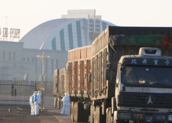 Эрээний хил хаагдаагүй, цаашид зөвхөн чингэлэгтэй ачааг хил нэвтрүүлнэ