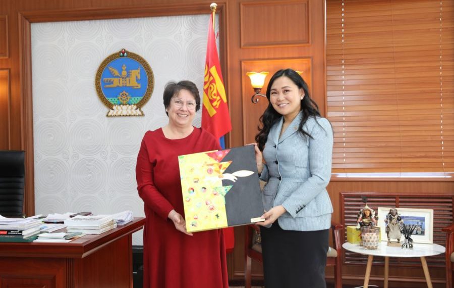 Швейцарын хөгжлийн агентлагтай хамтран ажиллах төсөл, хөтөлбөрийн талаар ярилцав