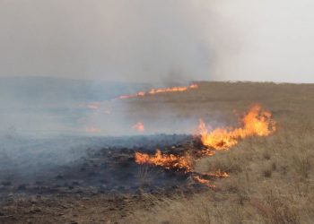 Хээрийн түймэр гарч, 10 га газар шатжээ