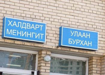 “Менингит насанд хүрэгчдээс хүүхдэд халдах тохиолдол их”