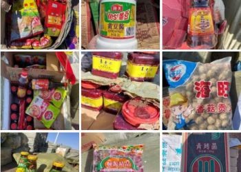 Шинжилгээгүй 9.1 тонн бүтээгдэхүүн хилээр нэвтрүүлэхийг завджээ