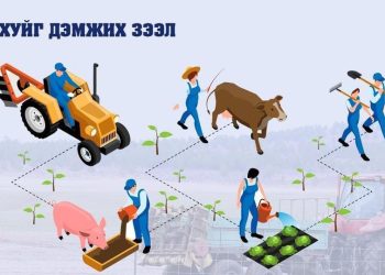 ХХААХҮЯ: Засгийн газраас ХАА-г дэмжих зорилгоор 3 хувийн хүүтэй 400 тэрбум төгрөгийн зээл гаргахаар шийдвэрлэсэн