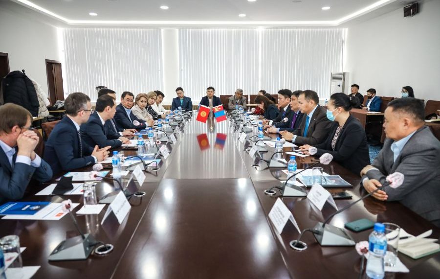 Киргиз улс ноос, ноолуурын хамтарсан үйлдвэр байгуулахаа илэрхийлэв