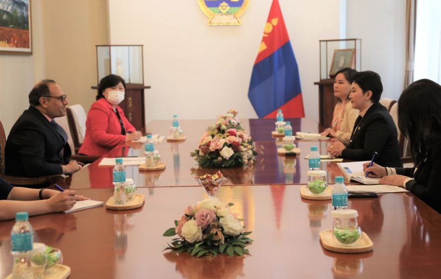 НҮБ-ын Хүн амын сан Монгол Улсад 7 дугаар хөтөлбөрөө хэрэгжүүлнэ