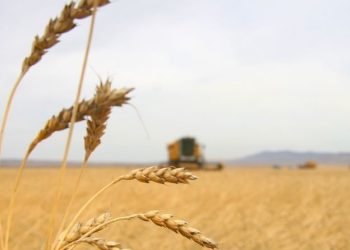 ХАА-н салбарыг дэмжих зээлийг өнөөдрөөс олгож эхэллээ