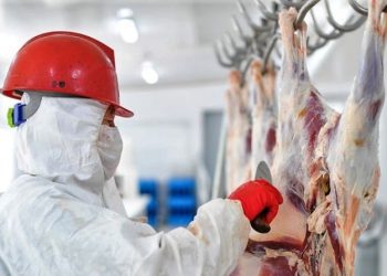 БНХАУ руу дулааны аргаар боловсруулсан үхэр, хонины мах экспортлох боломж бүрджээ