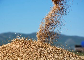 ХАА-г дэмжих зээлийн хүүд Засгийн газраас 10.65%-ийн дэмжлэг үзүүлэхээр боллоо