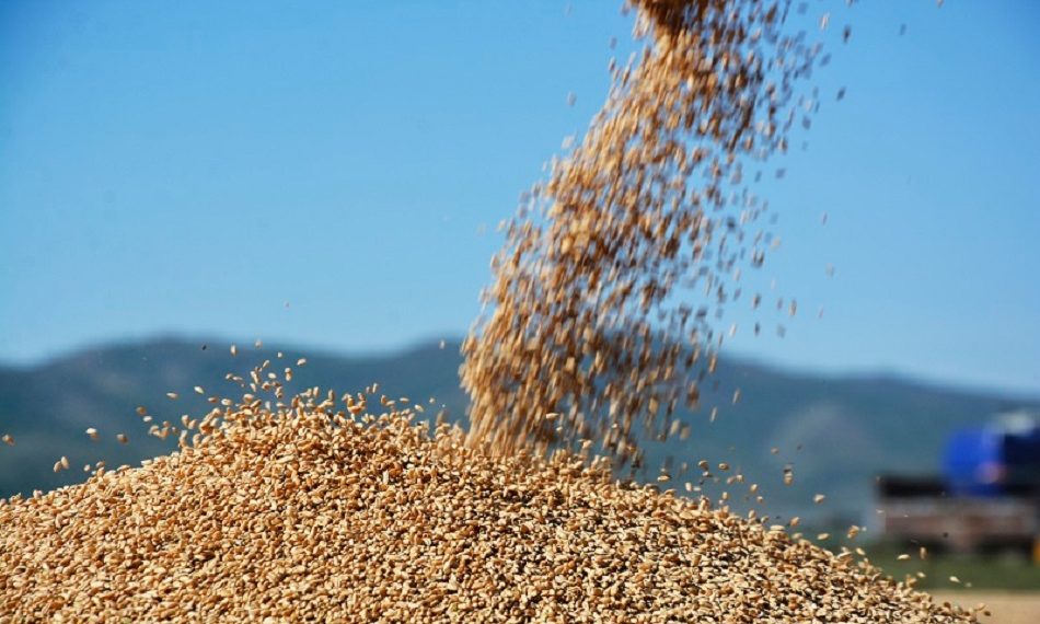 ХАА-г дэмжих зээлийн хүүд Засгийн газраас 10.65%-ийн дэмжлэг үзүүлэхээр боллоо