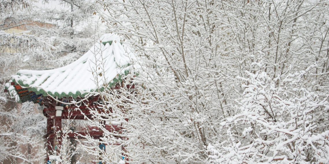 Нийт нутгаар нойтон цас орж, цасан шуурга шуурна