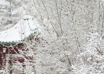 Нийт нутгаар нойтон цас орж, цасан шуурга шуурна