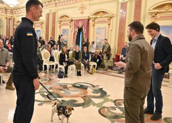 Үнэрч нохойд шагнал гардуулав