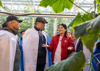 Ерөнхийлөгч хүнс үйлдвэрлэгчидтэй уулзаж, тариалангийн бүс нутагт ажиллаж байна