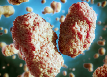 ДЭМБ: Сармагчны цэцэг өвчний тархалтыг хяналтад авах боломжтой