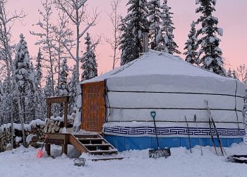 Монгол гэрт амьдардаг Канад хос