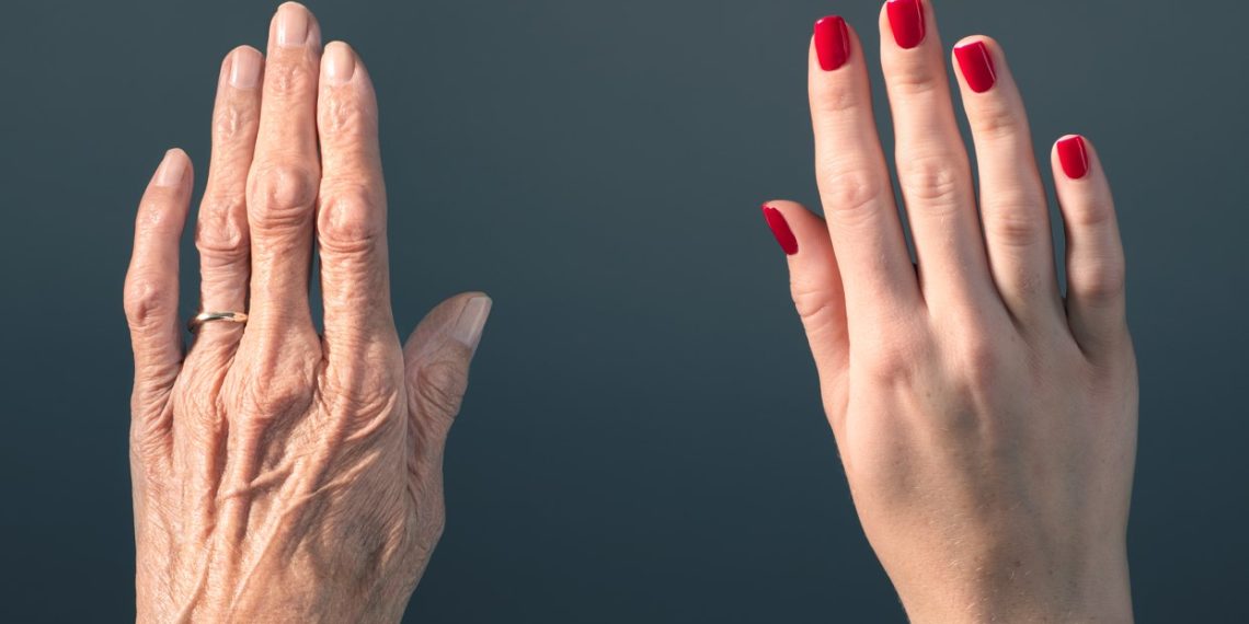 Харвардын эрдэмтэд мөнхийн залуу байх нээлтийг хийв