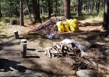 “Самар-2022” хэсэгчилсэн үйл ажиллагаа зохион байгуулж байна