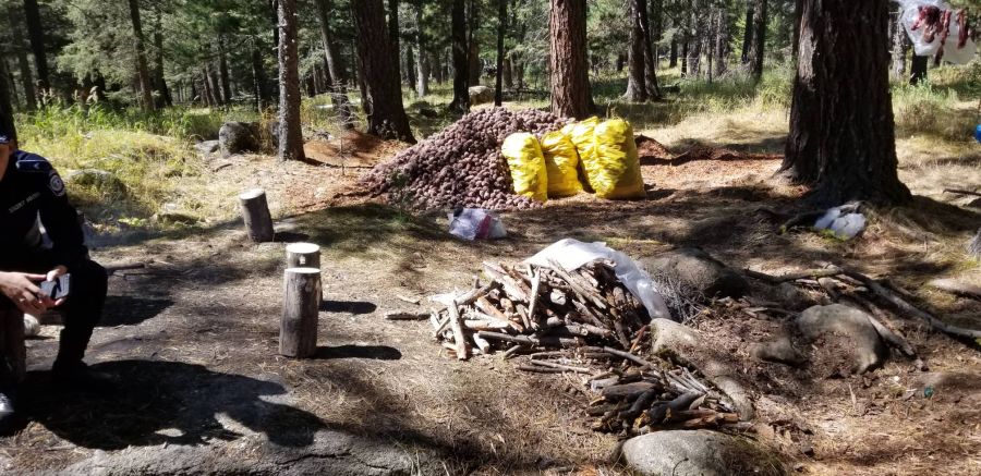 “Самар-2022” хэсэгчилсэн үйл ажиллагаа зохион байгуулж байна