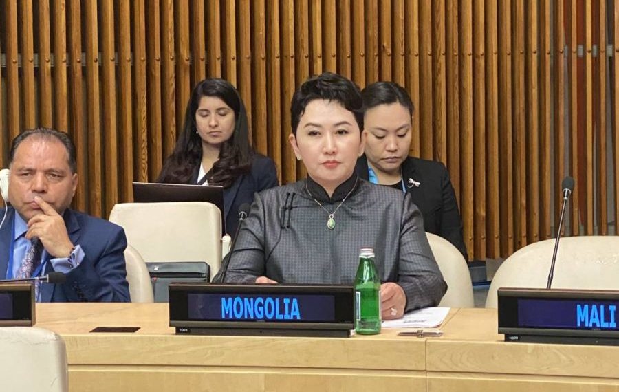 Далайд гарцгүй хөгжиж буй орнуудын Гадаад хэргийн сайд нарын уулзалт болов