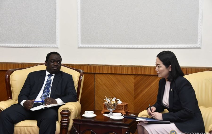 НҮБ-ийн Хүүхдийн сан Монгол Улсын таван салбарт түлхүү анхаарна