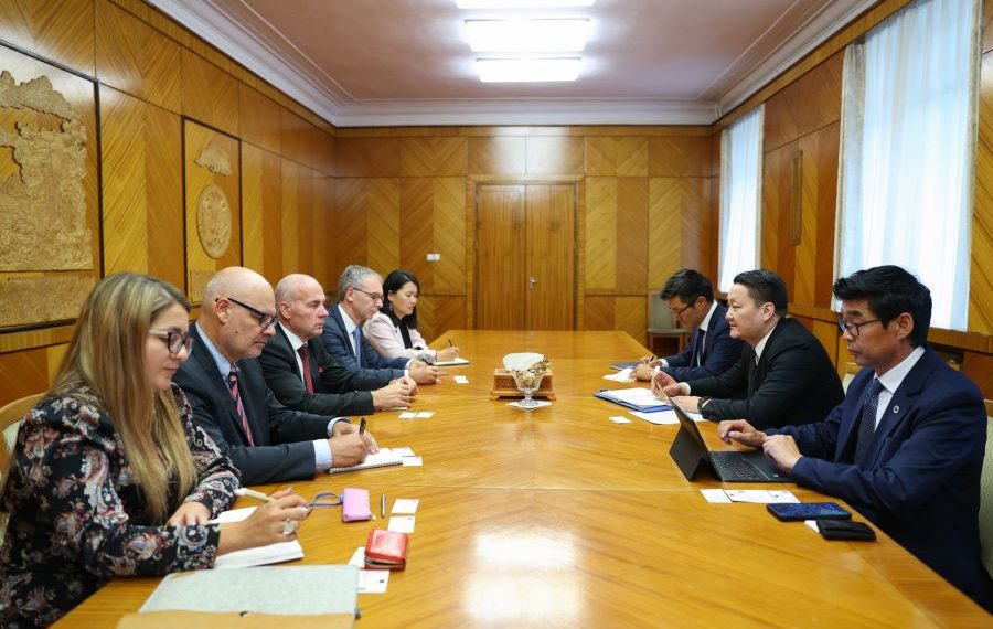 Европын хөрөнгө оруулалтын банкны Хятад, Монголыг хариуцсан Төлөөлөгчийн газрын даргатай уулзав