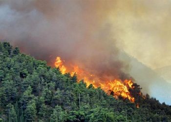 Энэ онд 122 удаагийн ой, хээрийн гал түймэр бүртгэгджээ