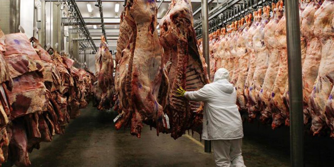 Нянгийн үзүүлэлт өндөр гарсан 507 тонн махыг устгуулах шаардлага хүргүүлжээ