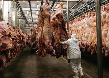 Нянгийн үзүүлэлт өндөр гарсан 507 тонн махыг устгуулах шаардлага хүргүүлжээ