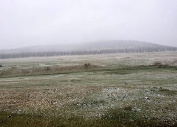 Газар тариалангийн бүс нутгаар цочир хүйтэрнэ