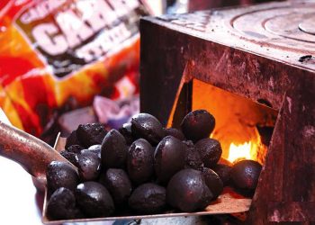 Сайжруулсан шахмал түлшийг энэ сарын 15-наас борлуулна