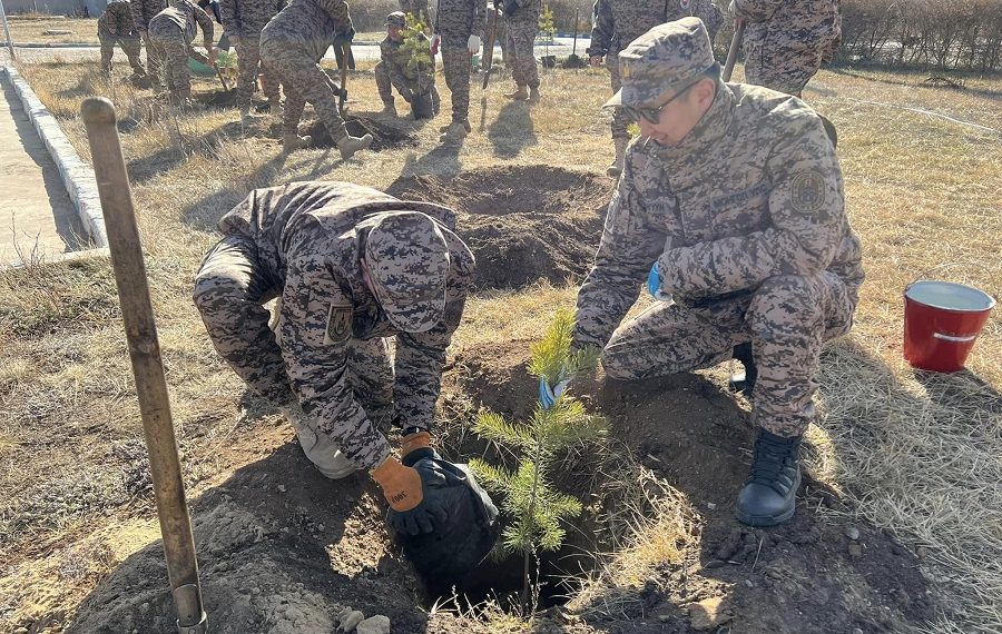 Г.Сайханбаяр: Мөчрөөр үрсэлгээ бэлтгэхээс аль болох татгалзаж, үрээр үрсэлгээ хийхээр зорьж байна