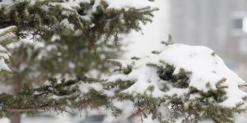 Ойрын хоёр өдөр нутгийн хойд хэсгээр цас орно