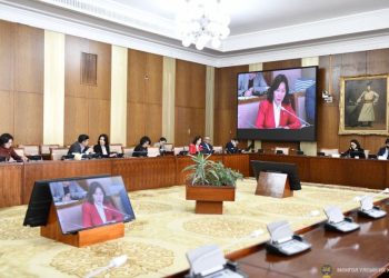 “Ковид-19”-ийн үед НДС-д үүссэн 651.5 тэрбум төгрөгийн авлагыг хэрхэн шийдвэрлэх нь тодорхойгүй байна