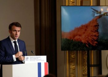 Франц 2030 он гэхэд нэг тэрбум мод тарина