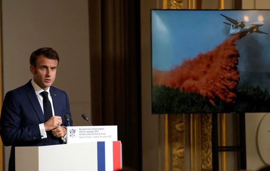 Франц 2030 он гэхэд нэг тэрбум мод тарина