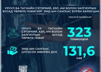 Уруул ба тагнайн сэтэрхий бусад төрөлх гажиг засах тусламж, үйлчилгээг ЭМД-ын сангаас бүрэн хариуцна