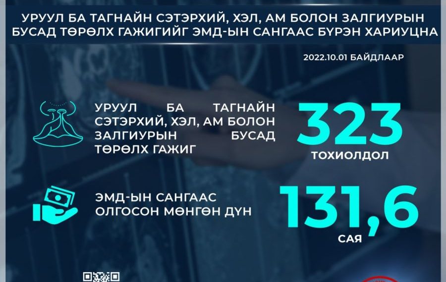 Уруул ба тагнайн сэтэрхий бусад төрөлх гажиг засах тусламж, үйлчилгээг ЭМД-ын сангаас бүрэн хариуцна