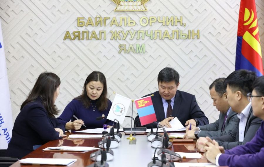 “Смарт” технологи нэвтрүүлэхэд хамтран ажиллана