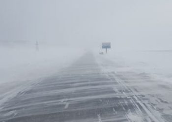 Ихэнх нутгаар цасан шуурга шуурна