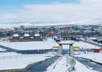 Архангай аймаг 2023 оныг “Хүнсний хангамж аюулгүй байдлыг сайжруулах жил” болгон зарлав