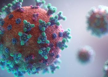 “Омикрон”-ы “XBB.1.5” хувилбарын халдварлах чадвар хамгийн өндөрт тооцогдож байна