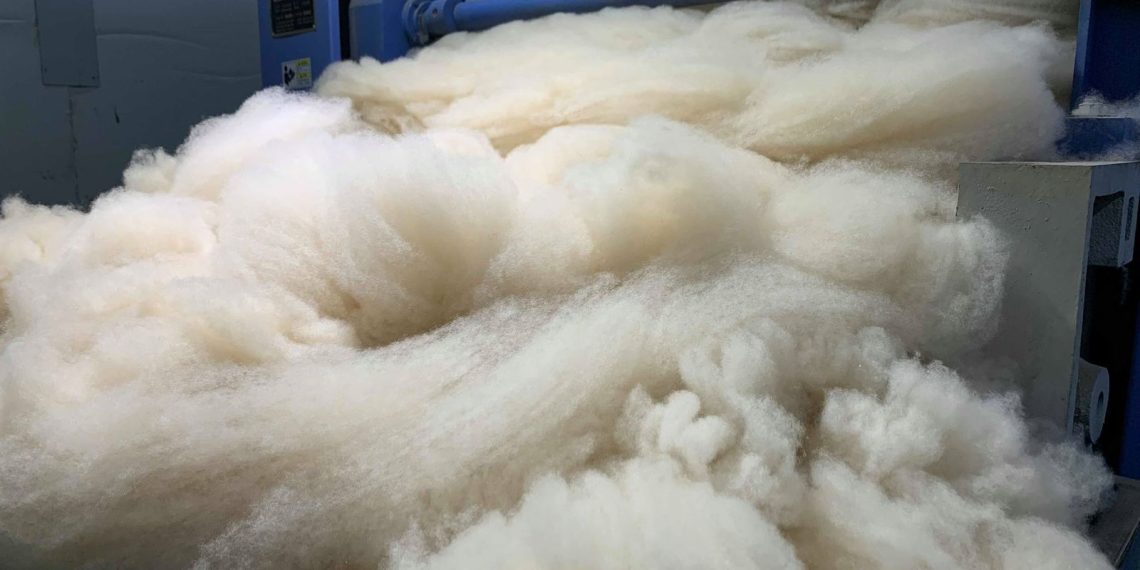 Ноолуурын салбарын экспорт 445.3 сая ам.долларт хүрлээ