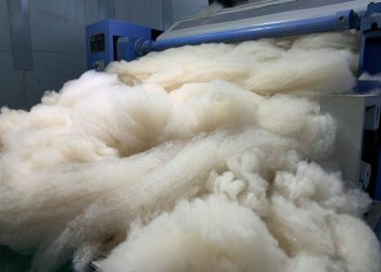 Ноолуурын салбарын экспорт 445.3 сая ам.долларт хүрлээ