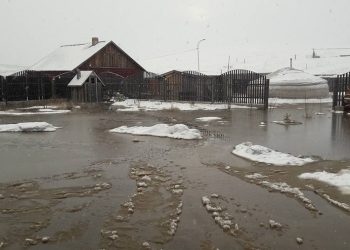 Шар усны үерийн аюулаас урьдчилан сэргийлэхийг зөвлөв