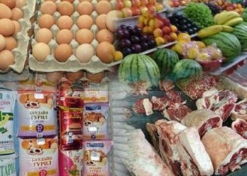 Хүнс, хөдөө аж ахуйн салбарт энэ онд 223 тэрбум төгрөгийн санхүүжилт олгоно