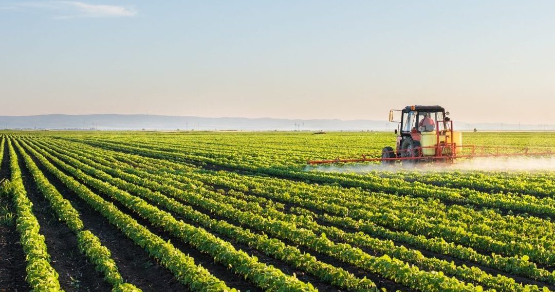“Хүнсний хувьсгал” хөдөлгөөний хүрээнд хэрэгжих татварын хөнгөлөлт чөлөөлөлтүүд