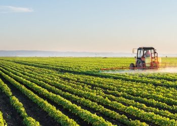 “Хүнсний хувьсгал” хөдөлгөөний хүрээнд хэрэгжих татварын хөнгөлөлт чөлөөлөлтүүд