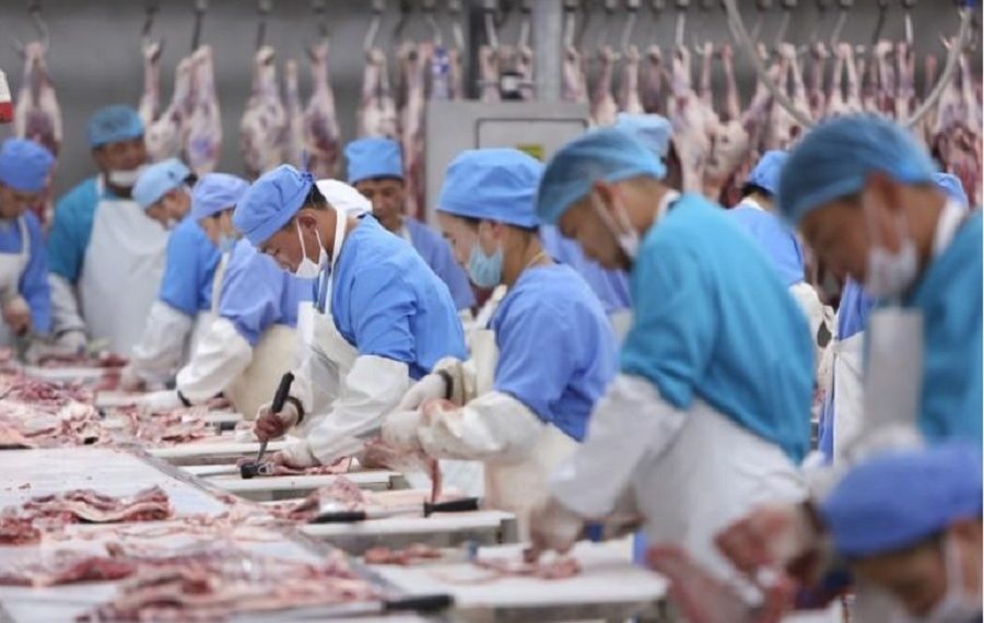 15.6 мянган тонн мах экспортлоод байна