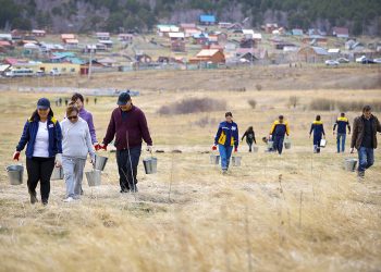 “Эрдэнэс Тавантолгой” ХК-ийн ажилчид тарьсан модоо усалж, нөхөн тарилт хийлээ