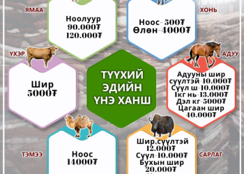 Ноолуур кг нь 90-120 мянган төгрөг байна